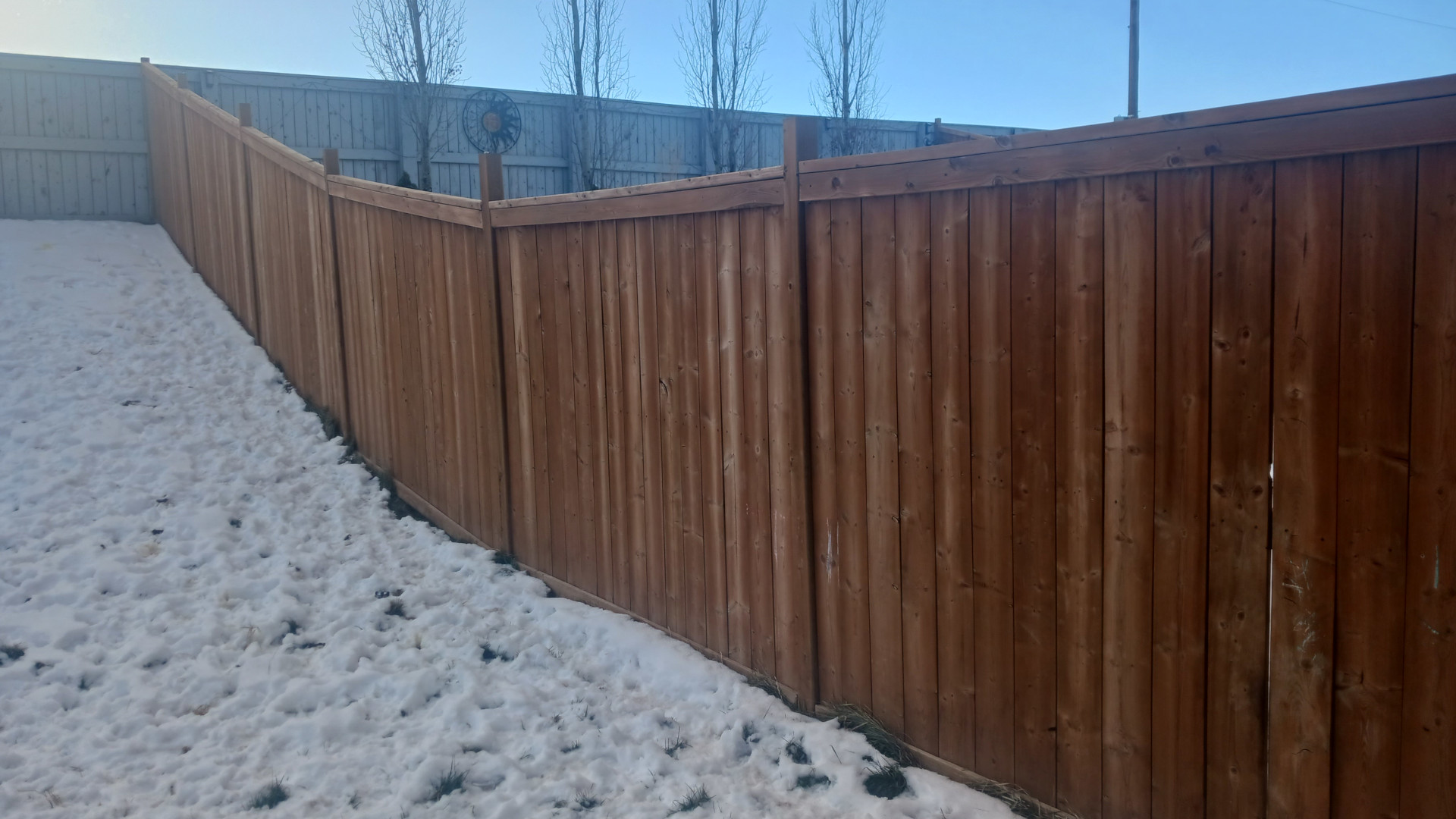 Picture of a fence by Paul Banks